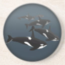 Suche nach weißer wal untersetzer Orca