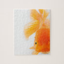 Suche nach goldfische puzzle Meereswelt