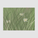 Suche nach gräser seidenpapier Wildblumen