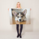 Suche nach corgi decken Pembrauner weißer korgi