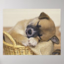 Suche nach schlafen poster Horizontal