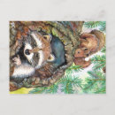 Suche nach racoon postkarten Wald