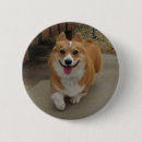 Suche nach pembroke buttons Rot