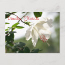 Suche nach dunedin postkarten Blume
