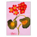 Suche nach die pelargonien Malen