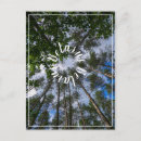 Suche nach naturlandschaft postkarten Wald