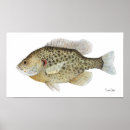 Suche nach freshwater poster Fish