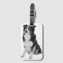 Suche nach australian shepherd accessoires Hund