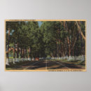 Suche nach el camino poster Kalifornien