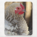 Suche nach lustige hühner mousepads Geflügel