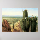 Suche nach gila poster Cactus