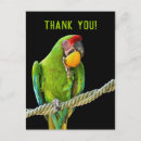 Suche nach ara postkarten Papagei