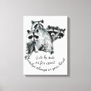 Suche nach waschbär leinwandbilder Niedlich