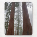 Suche nach riesen mousepads Wald