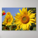 Suche nach bee happy poster Blume