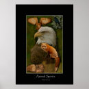 Suche nach lebewesen poster Wildtiere