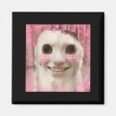 Suche nach katze memes magnete Lustig