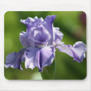 Suche nach blues mousepads Blüte