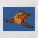 Suche nach glückliche schildkröte postkarten Spaß