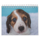 Suche nach dackel kalender Haustier