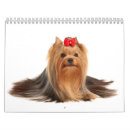 Suche nach yorkshire terrier kalender Niedlich