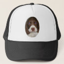 Suche nach spaniel kappen Springer