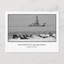 Suche nach kolonie postkarten Pelikan