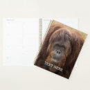 Suche nach gorilla büro zubehör Affe