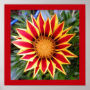 Suche nach blume foto poster Grün