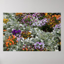 Suche nach lamm mit blume poster Blumen