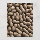 Suche nach hülsenfrüchte poster Erdnuss