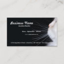 Suche nach weiße katze visitenkarten Kätzchen