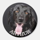 Suche nach hund magnete Kühlschrank