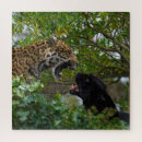 Suche nach jaguar puzzle Punkte
