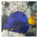 Suche nach tauchen fliesen Blau