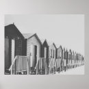 Suche nach reiher poster Fotografie