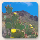 Suche nach tucson untersetzer Südwesten