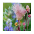 Suche nach gletscher fliesen Blume