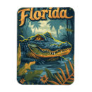 Suche nach florida everglades magnete Alligator