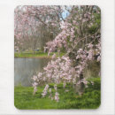 Suche nach kirsche mousepads Blume