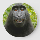 Suche nach monkey wanduhren Wildlife