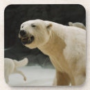 Suche nach eisbär untersetzer Tragen