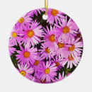 Suche nach daisy ornamente Pflanze