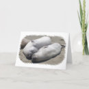 Suche nach beste freunde für immer karten Foto