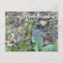 Suche nach pazifik postkarten Western