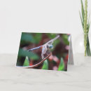 Suche nach du fehlst uns karten Fotografie