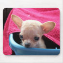 Suche nach chihuahua hund mousepads Computer