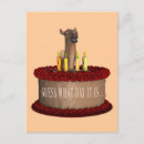 Suche nach funny birthday postkarten Humorvoll