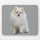 Suche nach pom mousepads Welpe