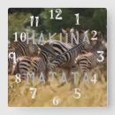 Suche nach wild lebende tiere kunst poster Zebradruck